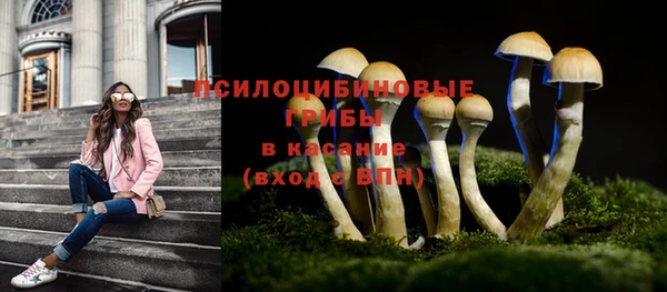 прущая мука Надым