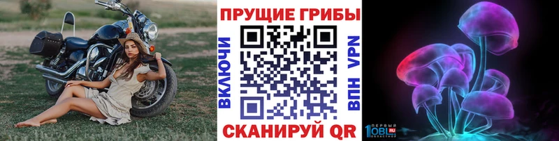 Псилоцибиновые грибы мицелий  Алейск 