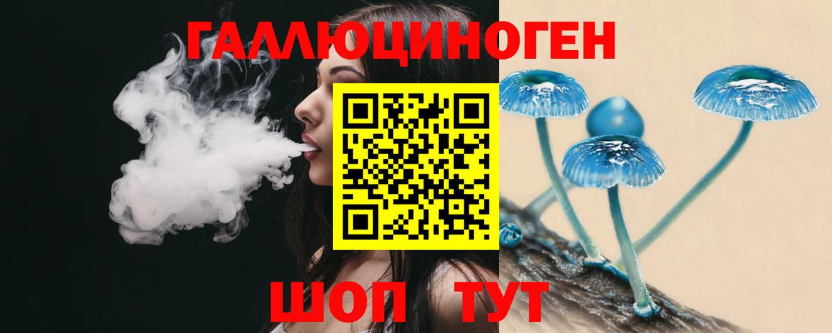 Галлюциногенные грибы Cubensis Алейск